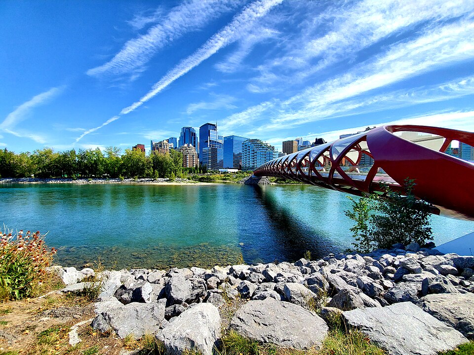 Peace Bridge over the Bow River and green riverbanks in Calgary.