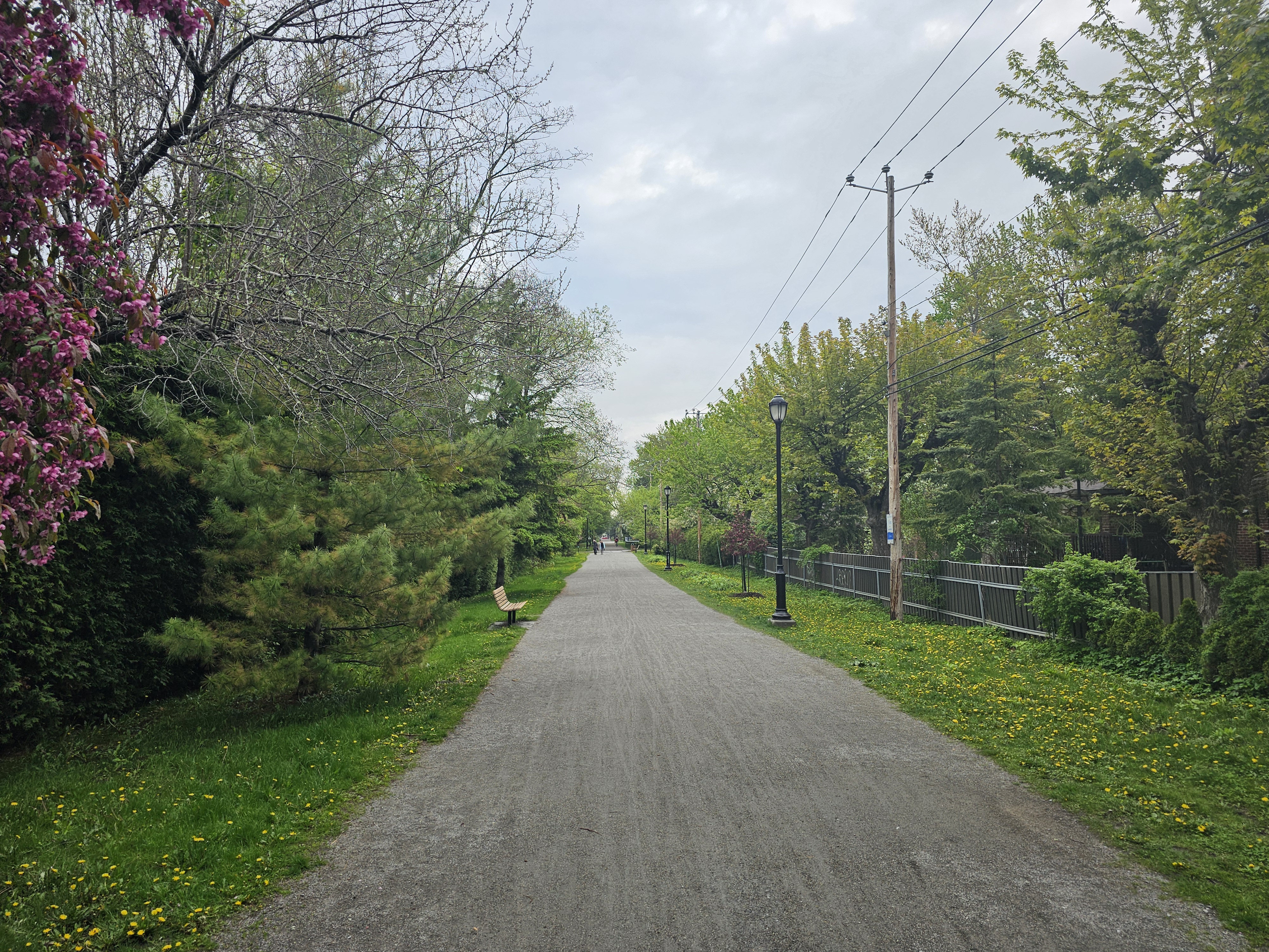 Tree-lined Desaulniers linear park from Quinn Street in Longueuil.