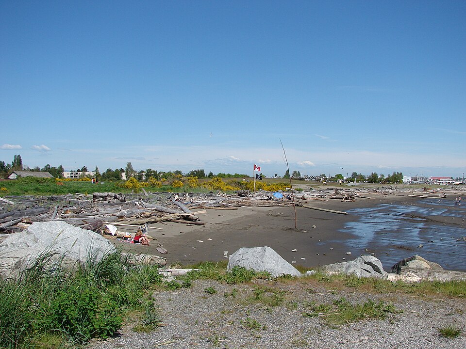 Garry Point beach, grass, shrubs and driftwood in Richmond, 2008.