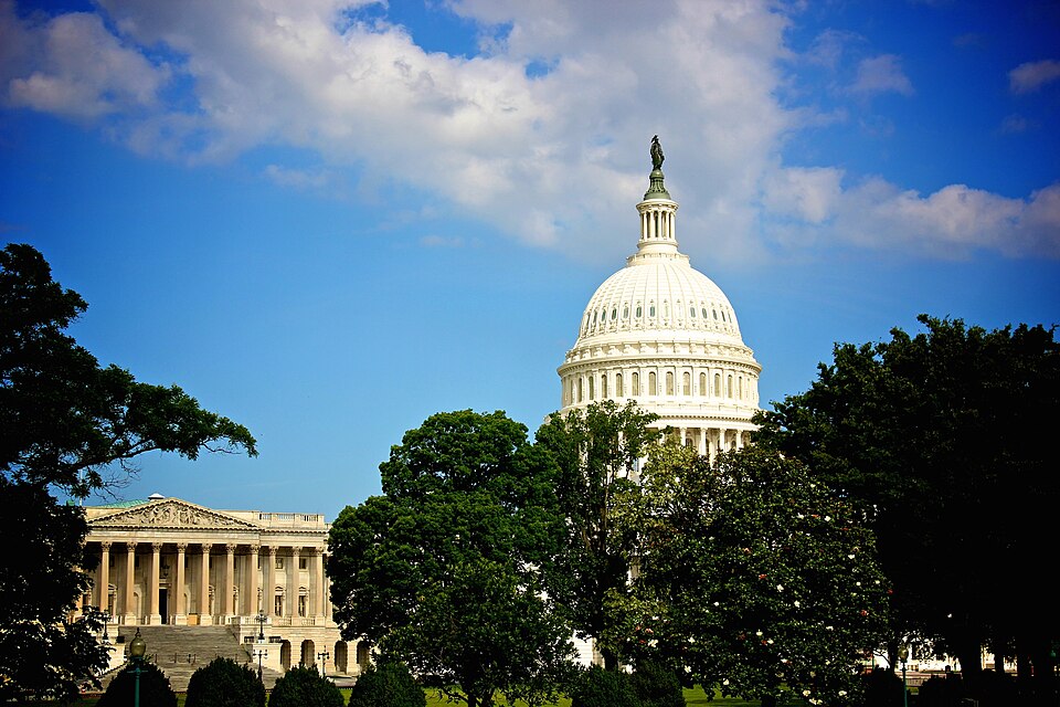 United States Capitol in Washington, DC in June.