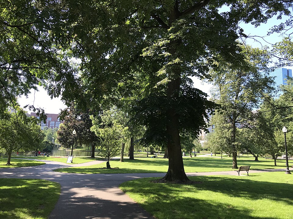 Boston Public Garden in summer.