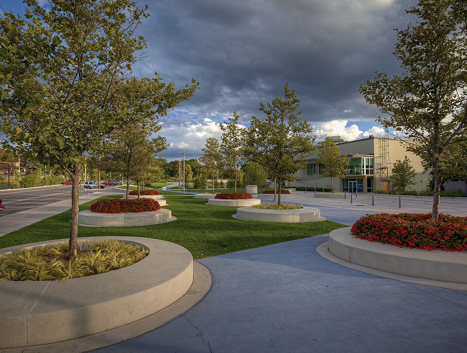 Trees at the Commons in Newmarket.