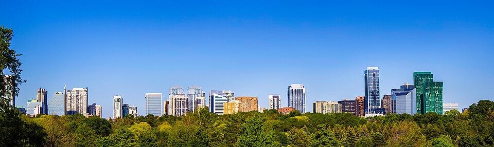 North York skyline above summer treetops.
