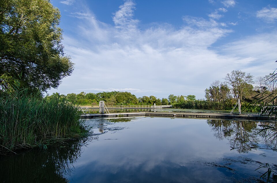 Water and green parkland at Scarborough Bluffs Park.