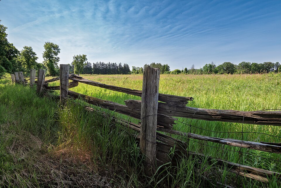 Meadow and split-rail fence at Bronte Creek Provincial Park in Oakville.