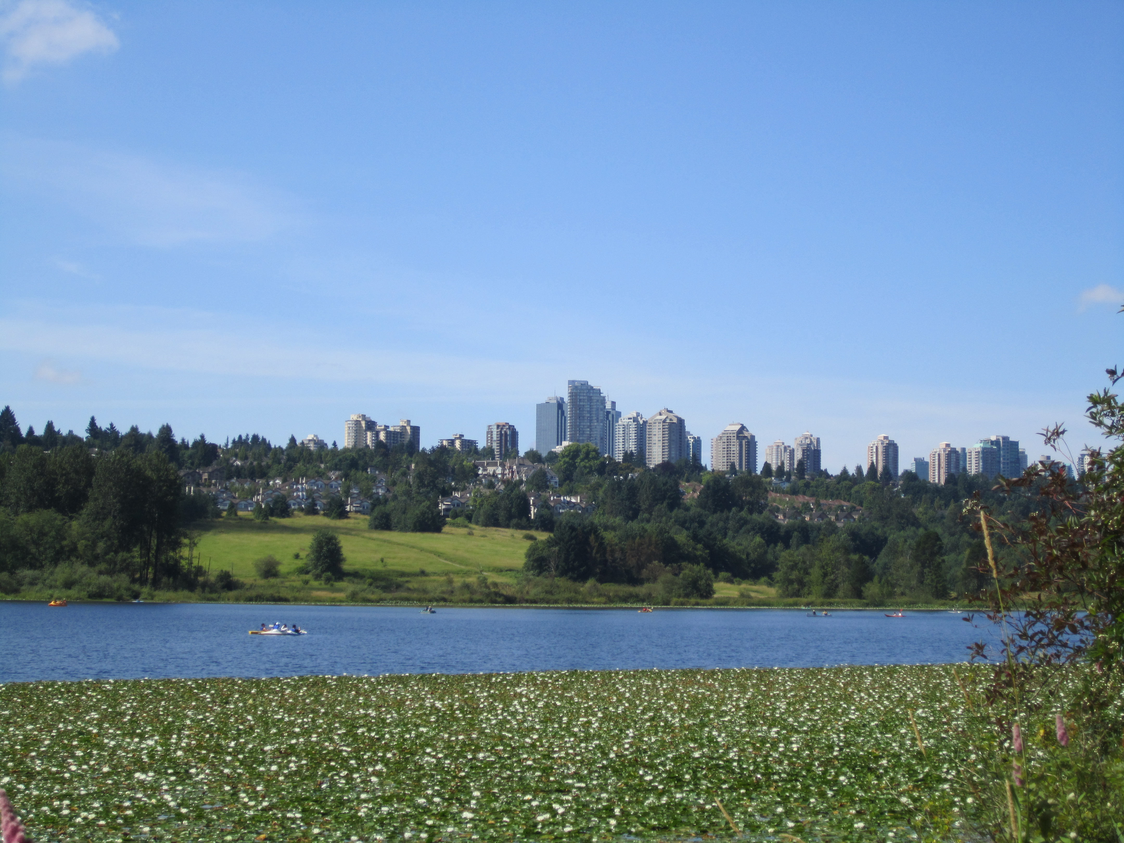 Summer Burnaby skyline across Deer Lake.