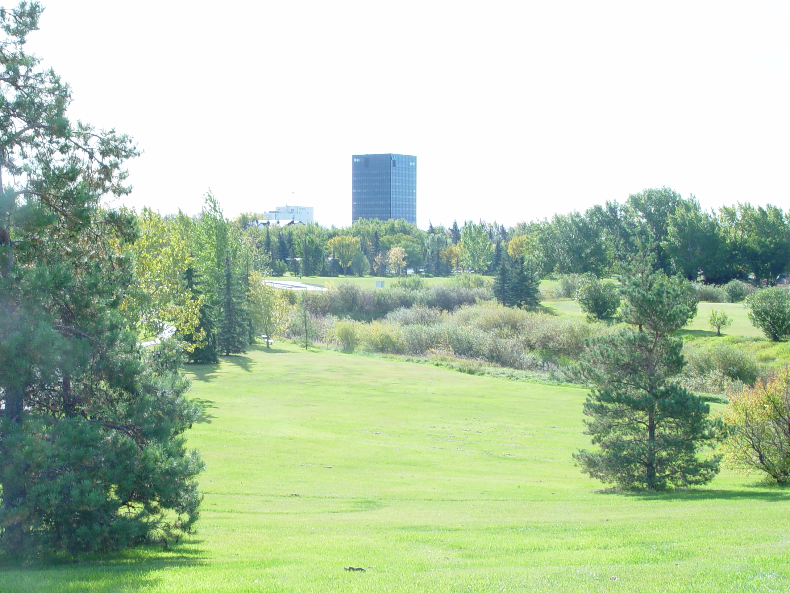 Downtown Grande Prairie from Muskoseepi Park in 2003.